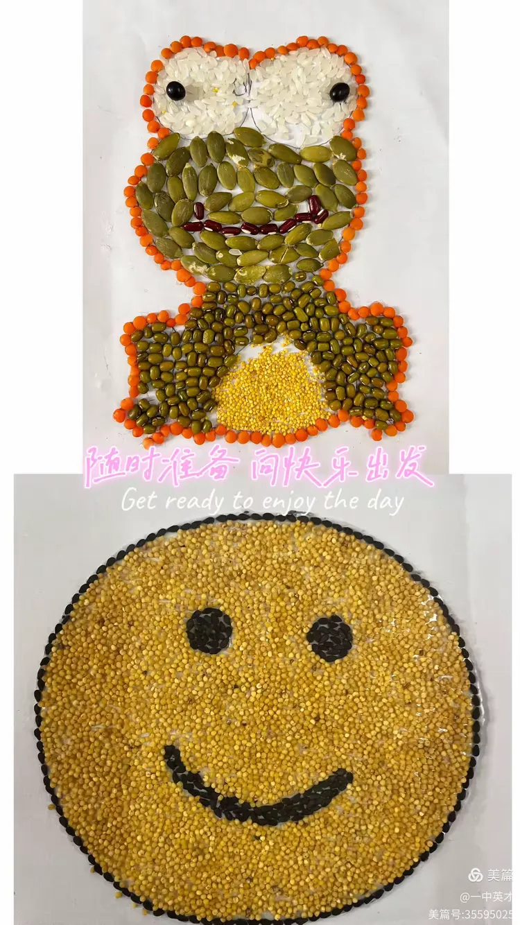 "数"出精彩,"豆"趣无穷